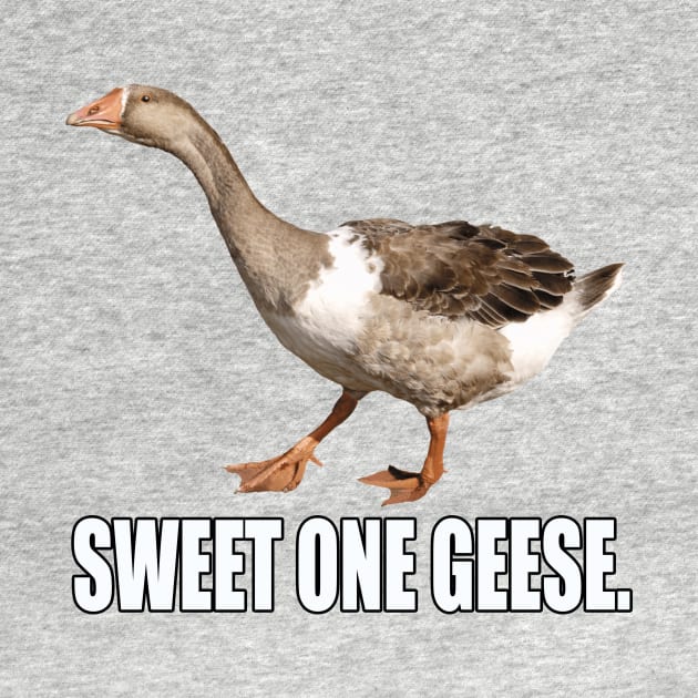 Sweet One Geese by Dudey Rhino